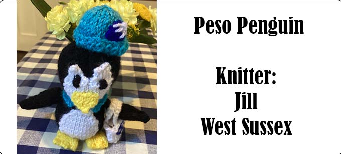 Peso Penguin Knitter Jill from West Sussex Knitting Pattern by Elaine https://ecdesigns.co.uk